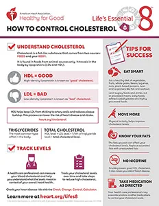 View How to control cholesterol fact sheet PDF