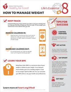 View the How to Manage Weight fact sheet PDF