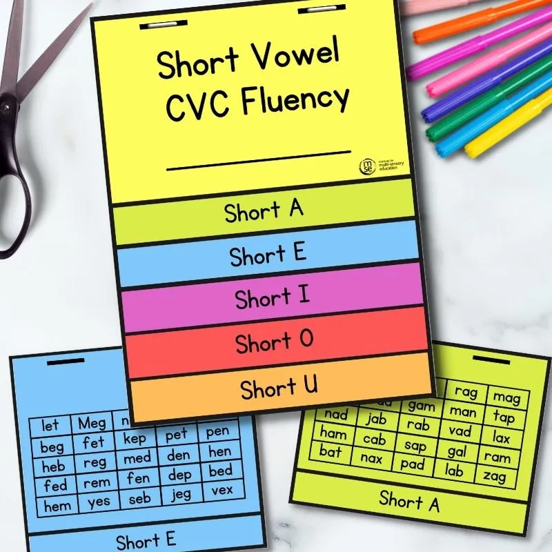 Short Vowel CVC Fluency Flip Book