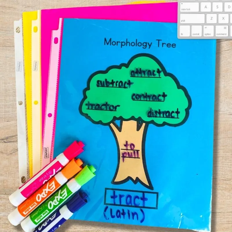 Morphology Tree